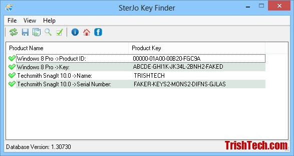Techsmith Snagit 11.4.3 Portable Serial Key keygen